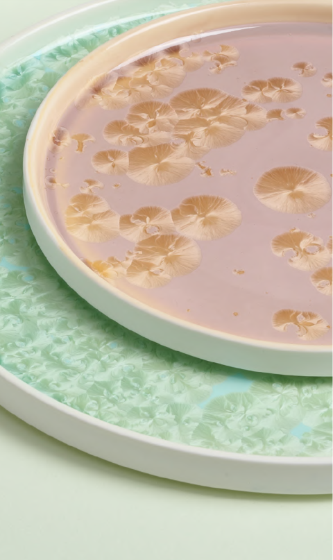 Frost (Фрост) Royal Charm